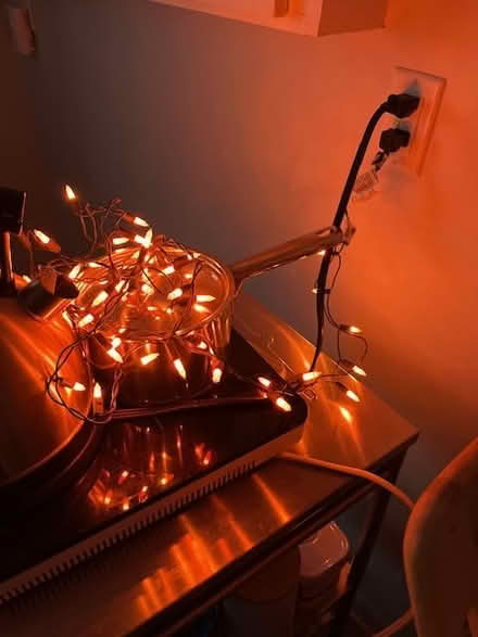 Photo of free small string of orange lights (Golden Triangle) #1