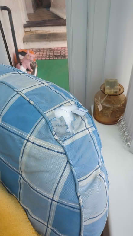 Photo of free Conservatory furniture (Epsom KT18) #3