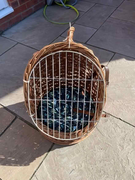 Photo of free Cat Carrier (Longwick HP27) #1