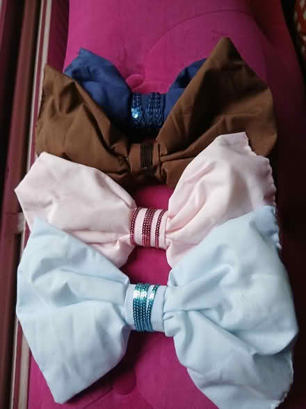 Photo of free Fabric bows for costume drag etc (New town CO2) #1