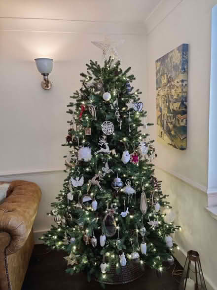Photo of free Christmas Tree (Cheam SM2) #1