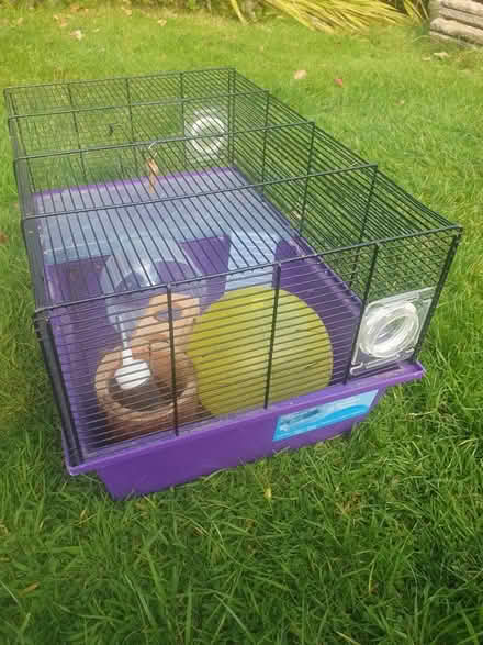 Photo of free Gerbilarium/ hamster home (Freckleton PR4 1) #1