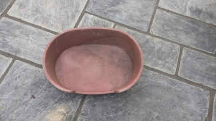 Photo of free Dog bed (CM15 Shenfield) #2