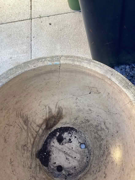 Photo of free Large Garden Planter (Stoneham SO50) #3