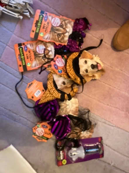 Photo of free Make up Halloween (Swindon SN5) #1