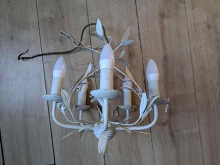 Photo of free Pendant light (Brighton, BN2) #1