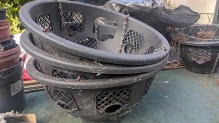 Photo of free 16" hanging baskets (CM15 Shenfield) #1