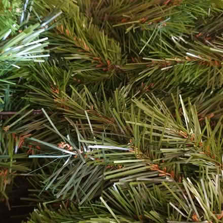 Photo of free good quality 6 ft family xmas tree (seaton EX12) #2