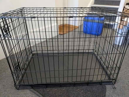 Photo of free Dog create (Crystal palace) #2