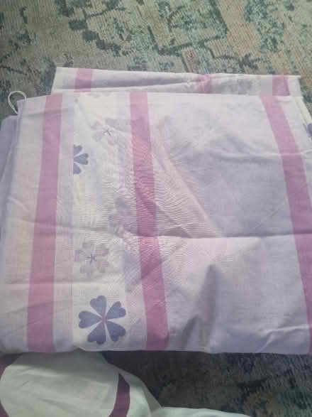 Photo of free Curtains (West kingsdown, TN15) #1