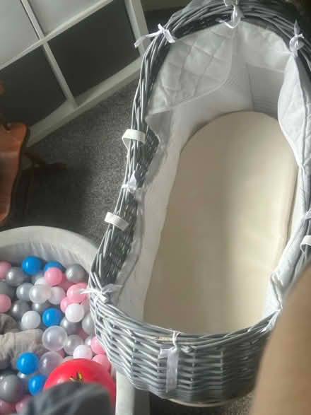 Photo of free Moses basket (S5 8HN) #2