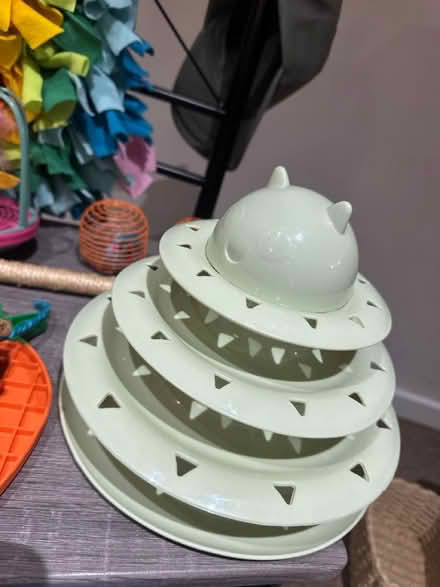 Photo of free Cat accessories (Heywood) #4