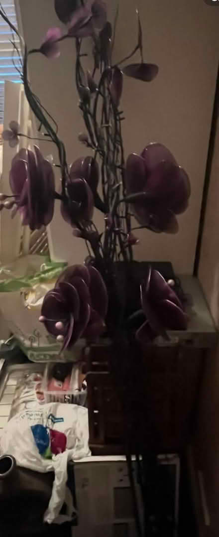 Photo of free Flowers (Ashton in Makerfield WN4) #3