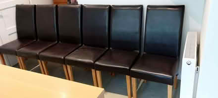 Photo of free 6 dining chairs (Sedlescombe TN33) #2