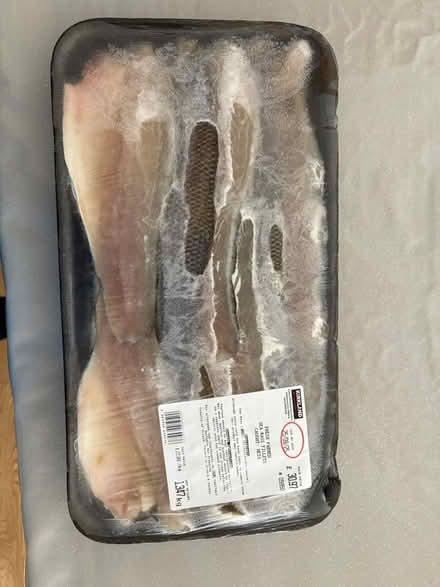 Photo of free Frozen Seabass (M7 - Salford) #1