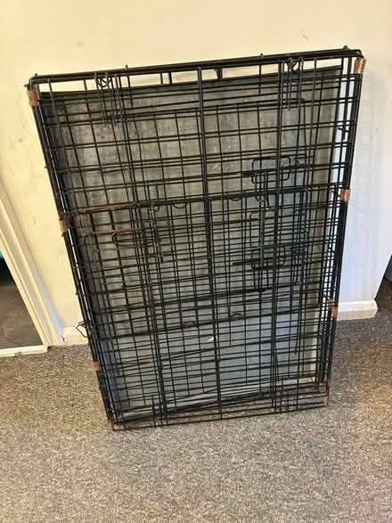Photo of free Medium fold out dog crate (MK41 bedford) #1
