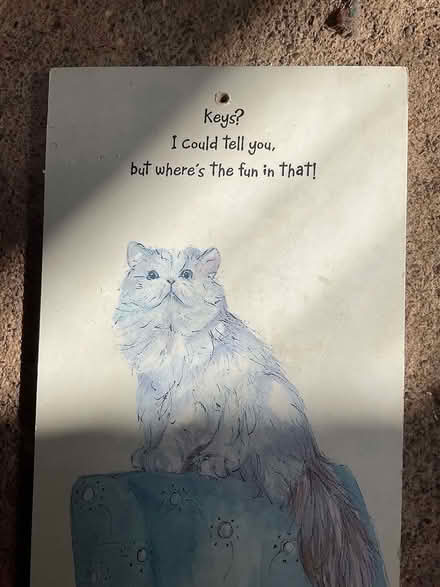 Photo of free Cat key holder (Minehead) #2