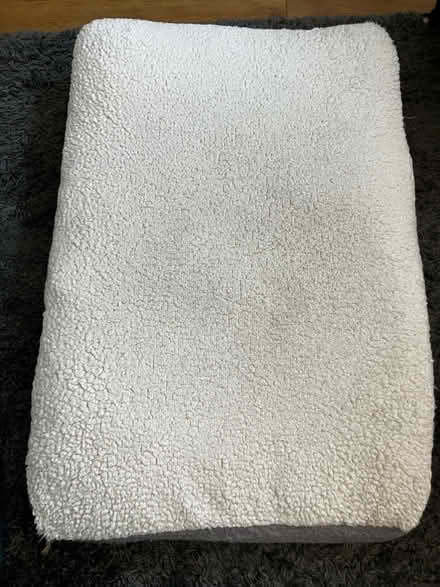 Photo of free Dog bed for large dog (Deal CT14) #1