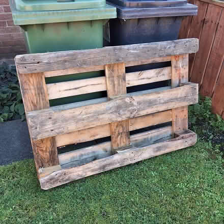 Photo of free Wooden Pallet (Bedlington Station, NE22) #1