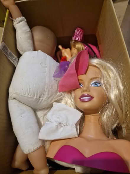 Photo of free lot of girls dolls (Luton LU2) #1