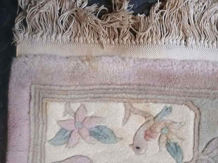 Photo of free Kayam Oriental Rug (Manchester M14) #3