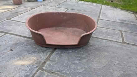 Photo of free Dog bed (CM15 Shenfield) #1