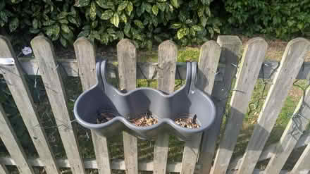 Photo of free Hanging fence pots (CM15 Shenfield) #1