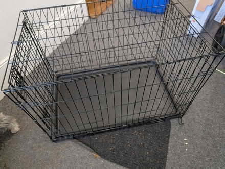 Photo of free Dog create (Crystal palace) #1