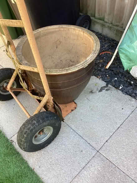 Photo of free Large Garden Planter (Stoneham SO50) #4