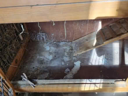 Photo of free Rabbit Hutch (S2 Wybourn) #3