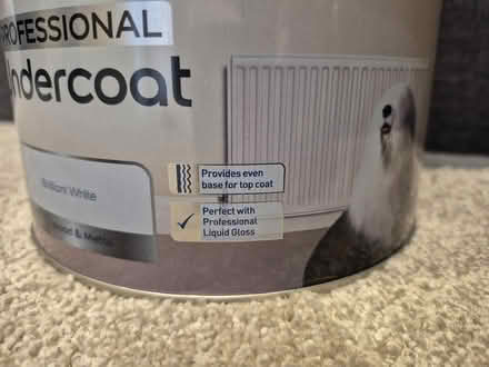 Photo of free 2.5l and 5l solvent based Dulux white paint. (Addiscombe CR0) #2