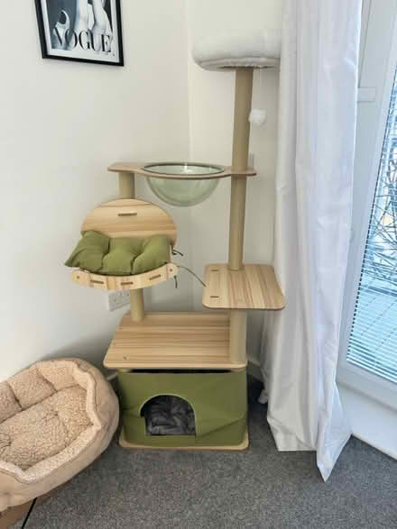 Photo of free Cats tree (Norwich) #1