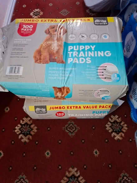 Photo of free Puppy training pads (Sopwell AL1) #1