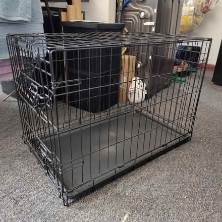 Photo of free Medium Dog Crate (New Town CO1) #2