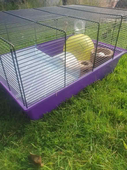 Photo of free Gerbilarium/ hamster home (Freckleton PR4 1) #4