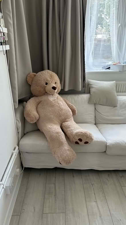 Photo of free Giant teddy (New Eltham SE9) #1