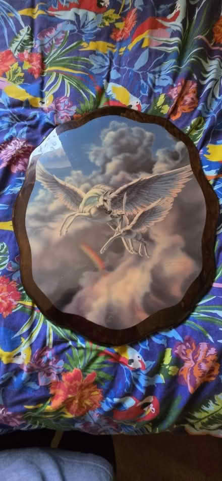 Photo of free Wooden plaque pegusus picture (Trowbridge) #1