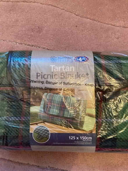 Photo of free Picnic rug (Swindon SN5) #1