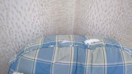 Photo of free Conservatory furniture (Epsom KT18) #2