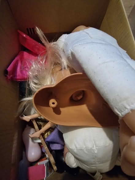 Photo of free lot of girls dolls (Luton LU2) #4