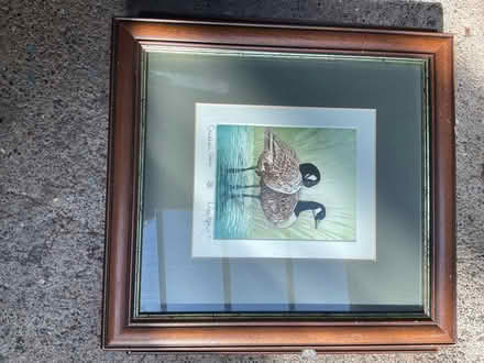 Photo of free Two signed animal prints (Minehead) #3