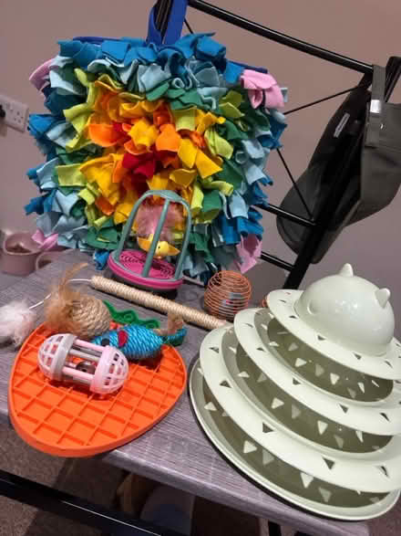 Photo of free Cat accessories (Heywood) #1