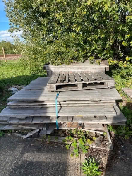 Photo of free Wood, pallets etc (Beccles NR34) #1