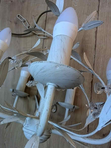 Photo of free Pendant light (Brighton, BN2) #2