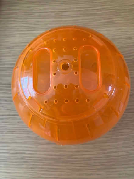 Photo of free Dwarf hamster ball (Northfield Avenue area NN16) #1