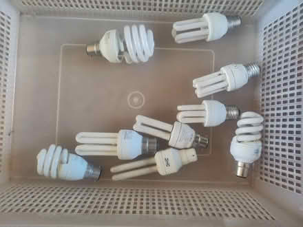 Photo of free Light bulbs (Cambridge CB4) #1