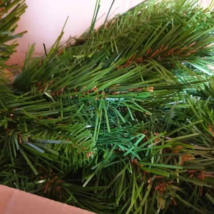 Photo of free good quality 6 ft family xmas tree (seaton EX12) #3