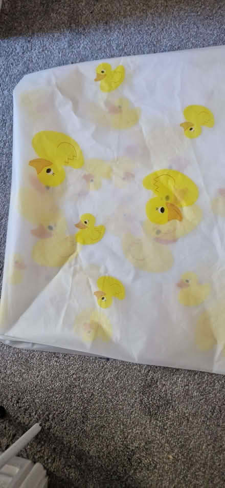 Photo of free Shower Curtain (Upton Priory SK10) #1