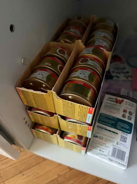 Photo of free Cat food beef flavour (Enfield N13) #1
