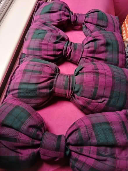 Photo of free Fabric bows for costume drag etc (New town CO2) #2